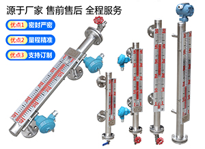 真空磁翻板液位計(jì)